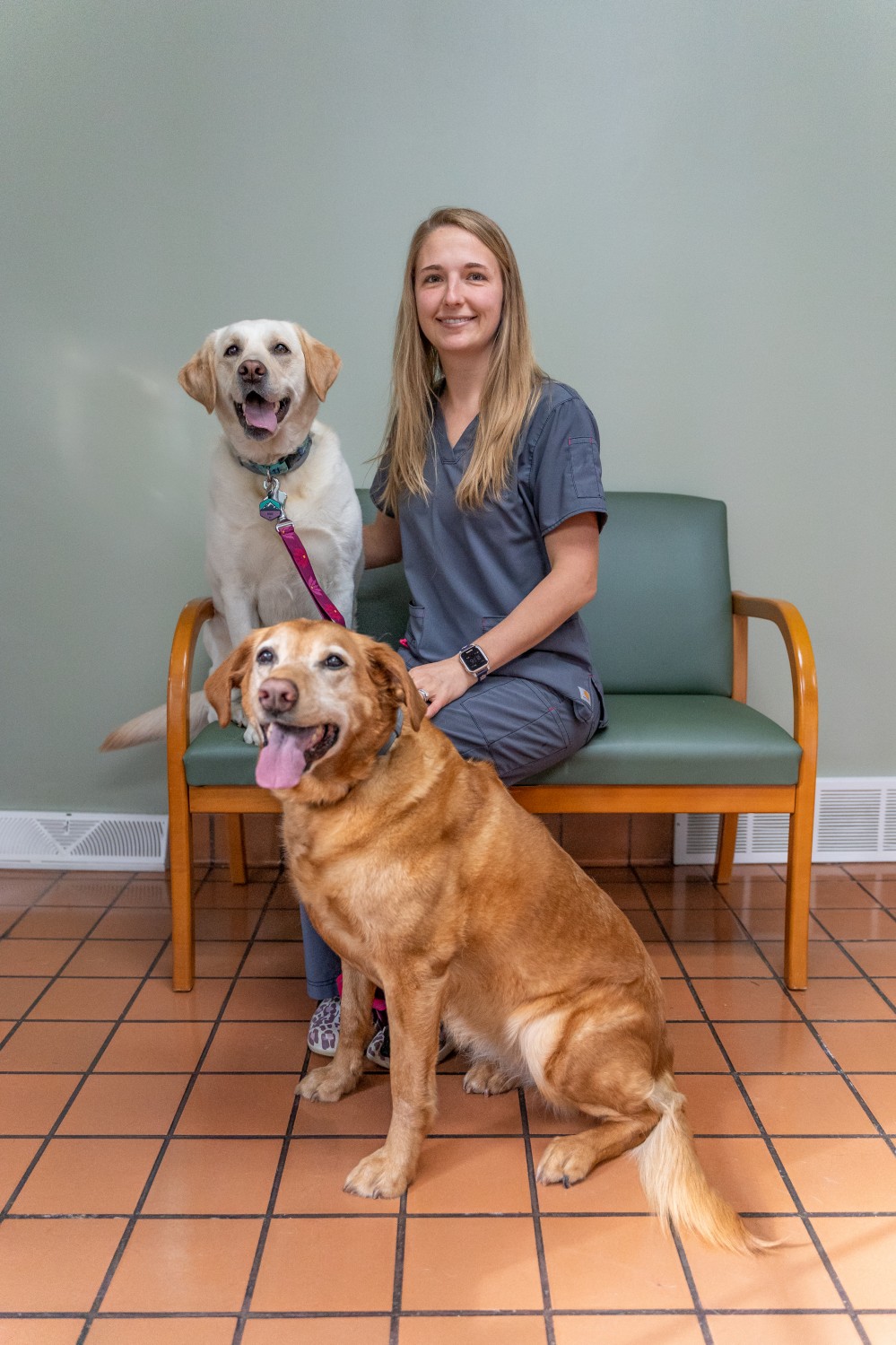 Our Team Lyndon Veterinary Clinic Fayetteville, NY